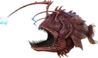 Angler