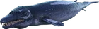 Basilosaurus