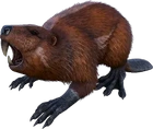 Castoroides