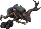Dung Beetle