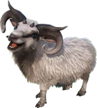 Ovis