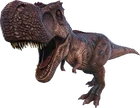 Rex