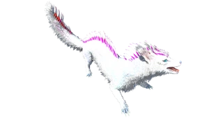 Veilwyn