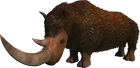 Woolly Rhino